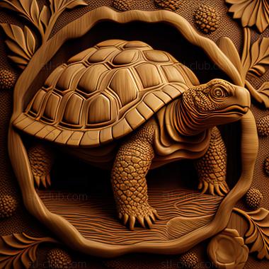 3D model st Jonathan Turtle famous animal (STL)